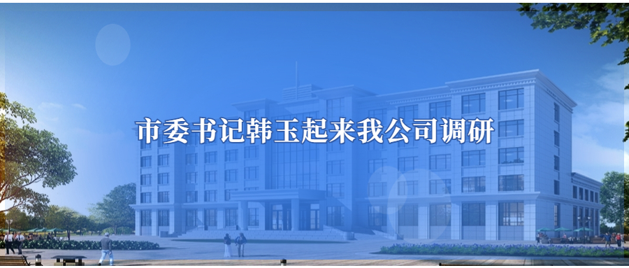 市委书记韩玉起到公司调研